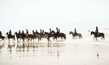 Balade à cheval sur la plage